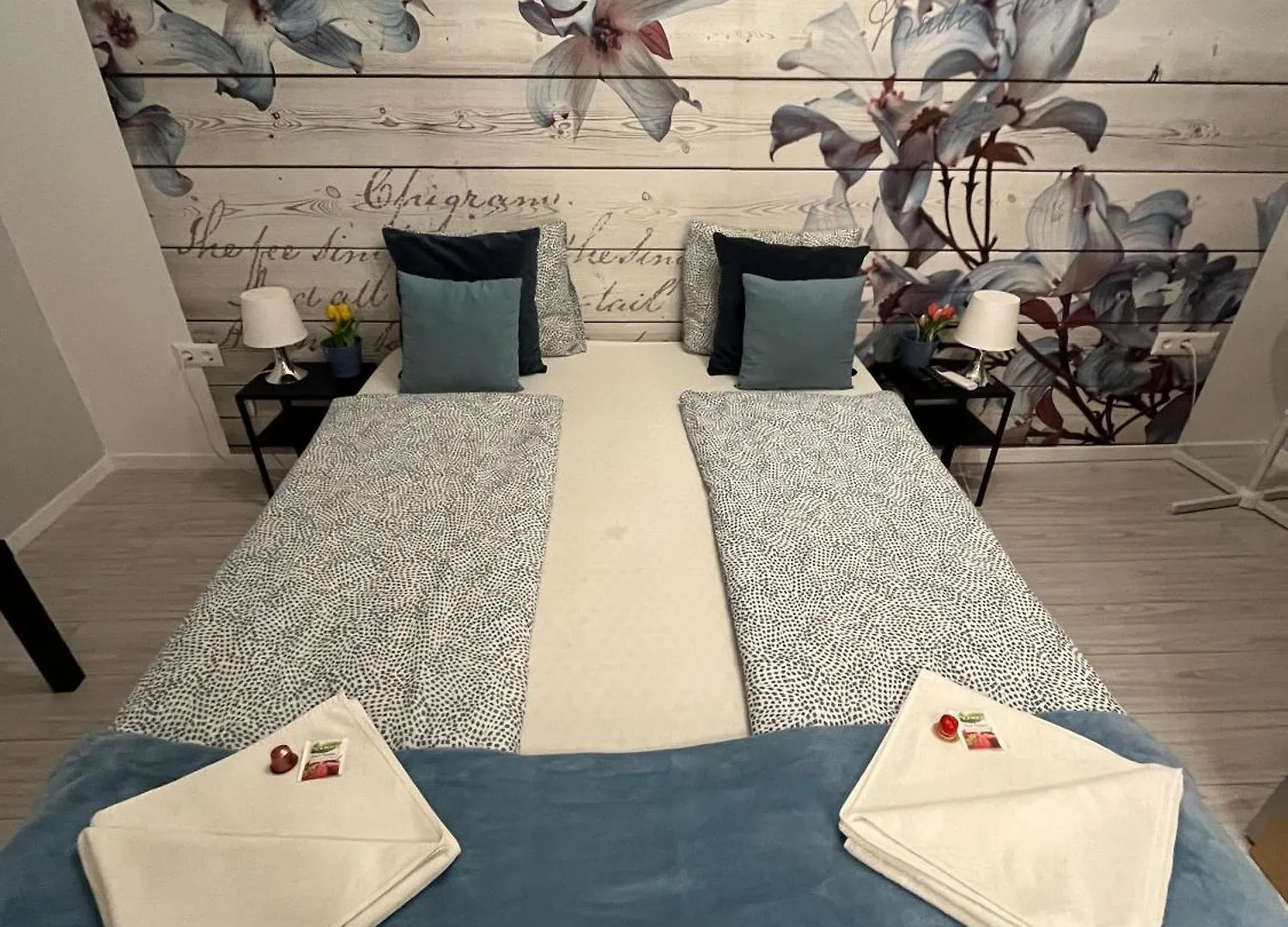 Millionrosesvintage Apartmanhotel Vaci Street Free Airconditioner And Coffee Budapest Apartman